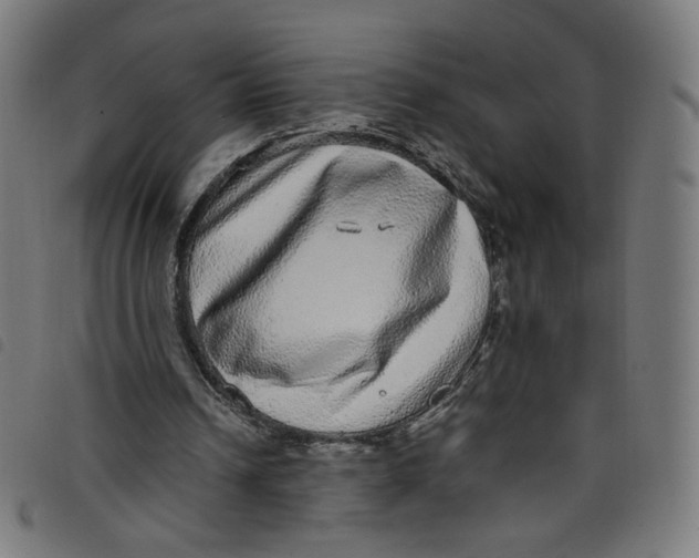 X0000098120242200804251458