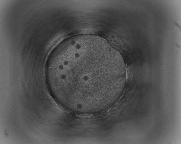 X0000098120243200804251458