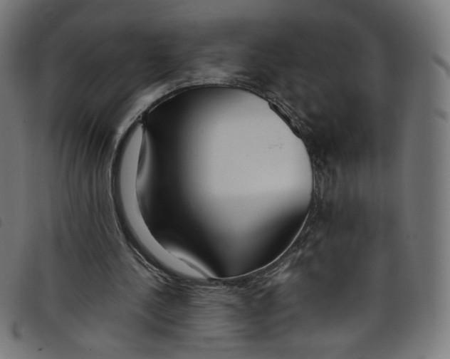 X0000098120244200804251458