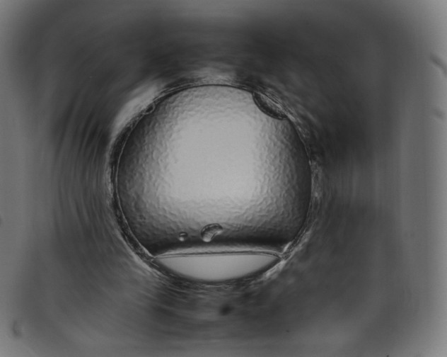 X0000098120245200804251458