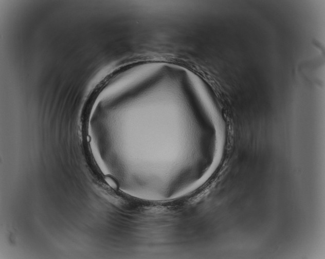 X0000098120246200804251458