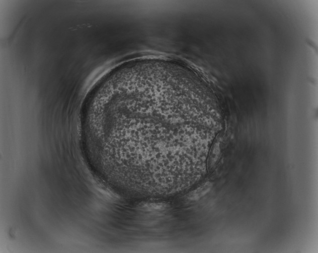 X0000098120247200804251458
