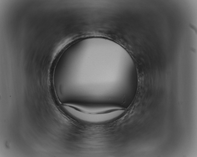 X0000098120248200804251458