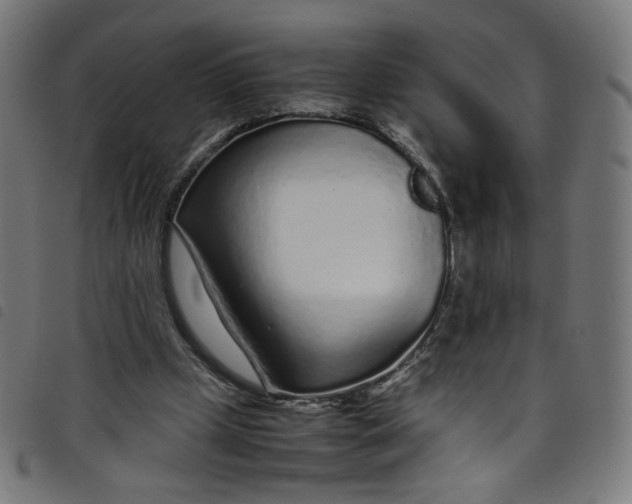 X0000098120249200804251458