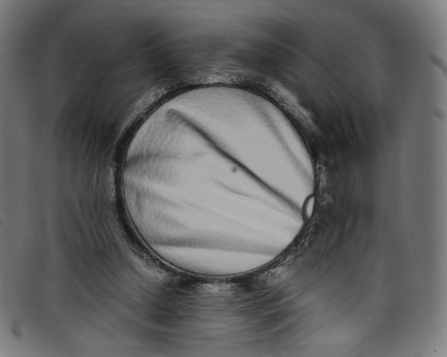 X0000098120250200804251458
