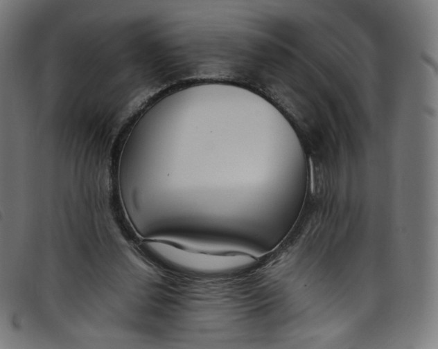 X0000098120252200804251458