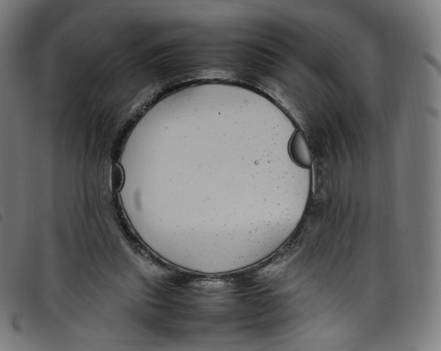 X0000098120253200804251458