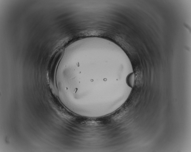 X0000098120254200804251458