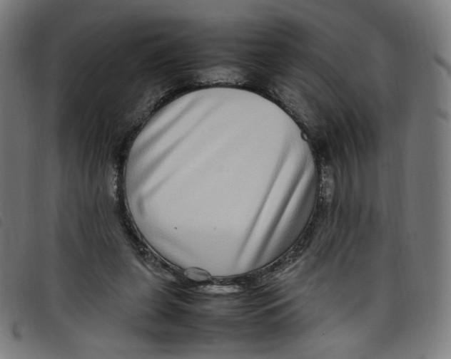 X0000098120255200804251458