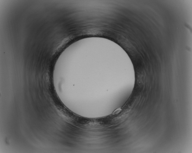 X0000098120256200804251458