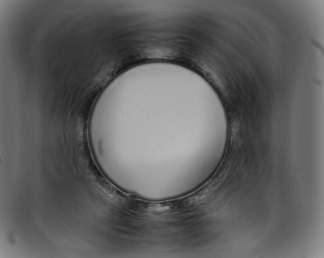 X0000098120257200804251458