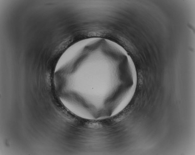 X0000098120258200804251458