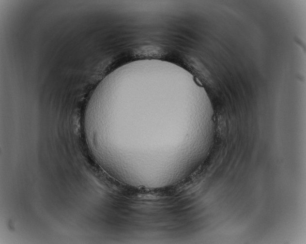 X0000098120259200804251458