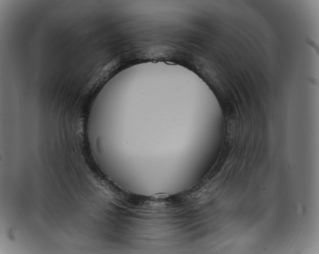 X0000098120260200804251458