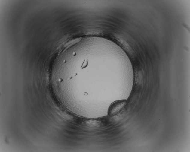 X0000098120261200804251458