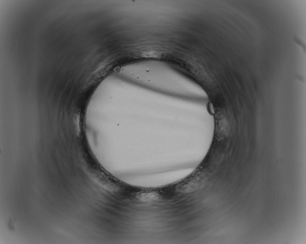 X0000098120262200804251458
