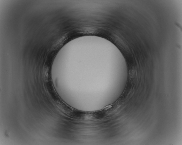 X0000098120264200804251458