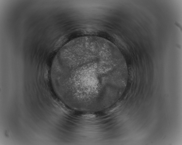 X0000098120266200804251458