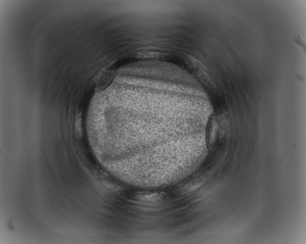 X0000098120267200804251458