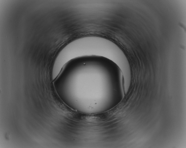 X0000098120268200804251458