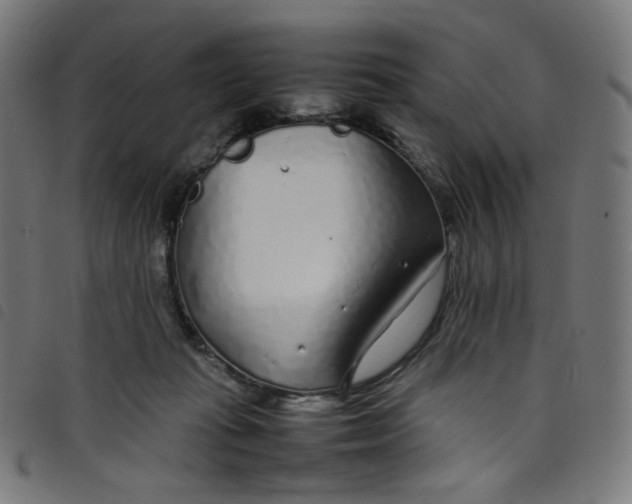 X0000098120269200804251458