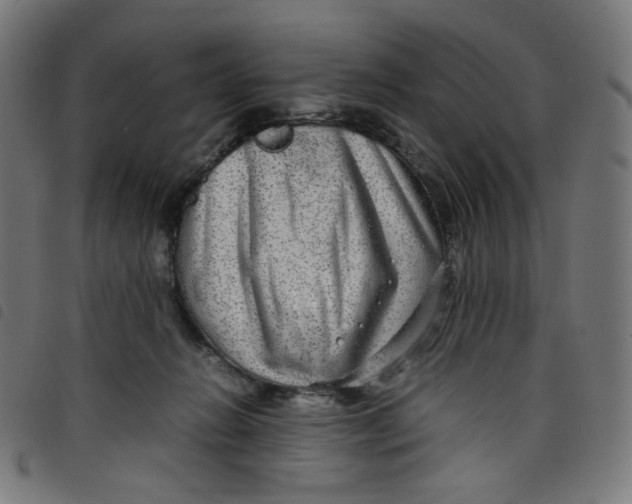X0000098120270200804251458