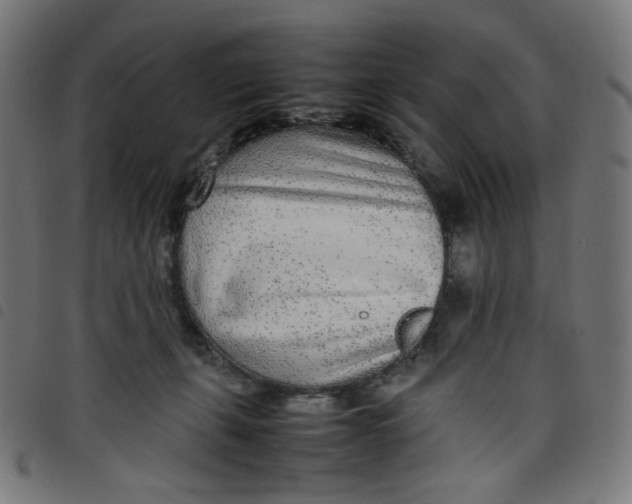 X0000098120271200804251458