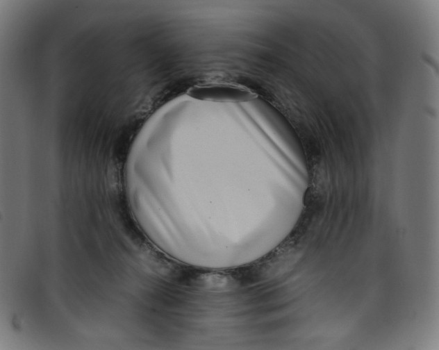 X0000098120272200804251458
