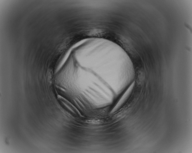 X0000098120273200804251458
