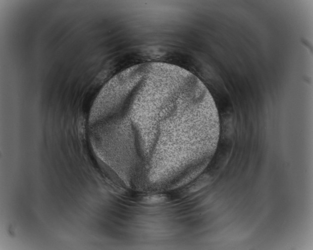 X0000098120274200804251458