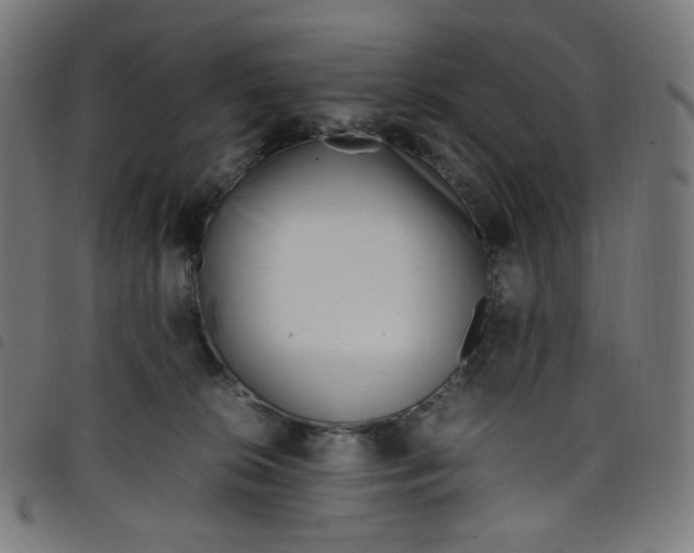 X0000098120276200804251458