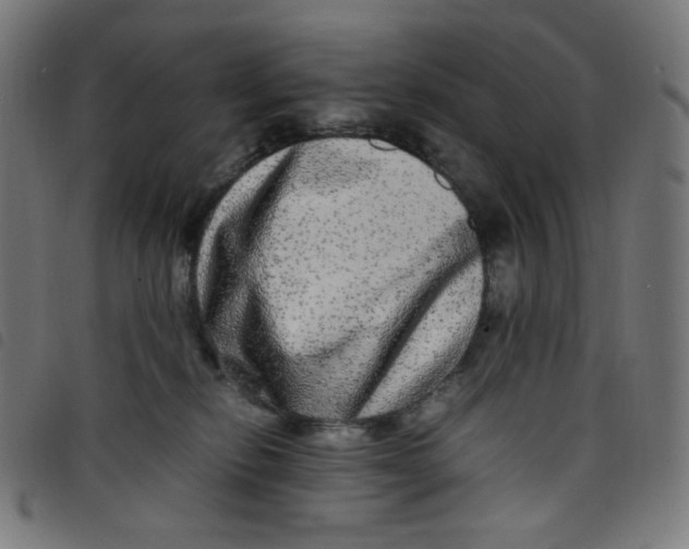 X0000098120278200804251458