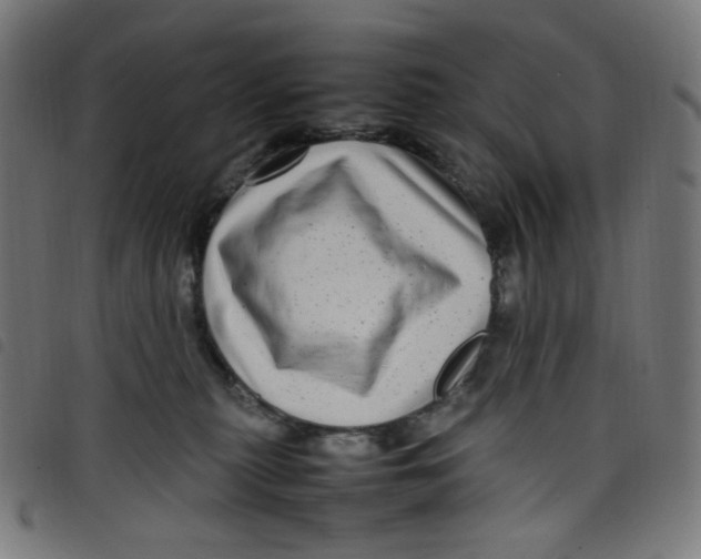 X0000098120279200804251459