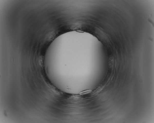 X0000098120280200804251459