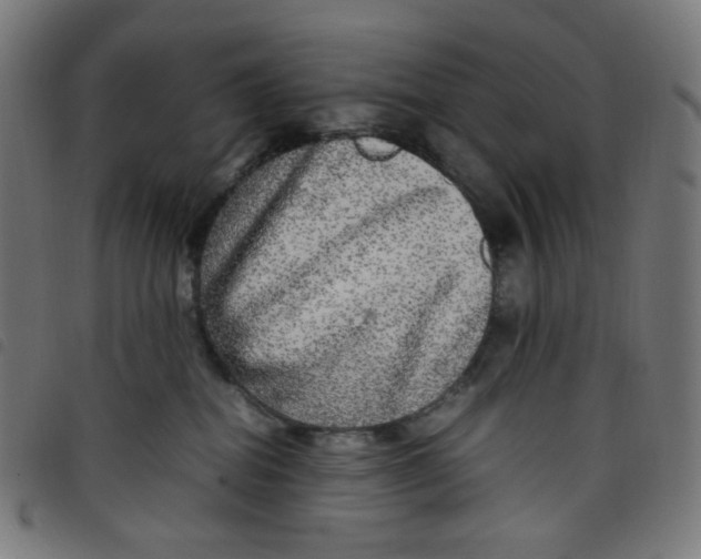 X0000098120282200804251459