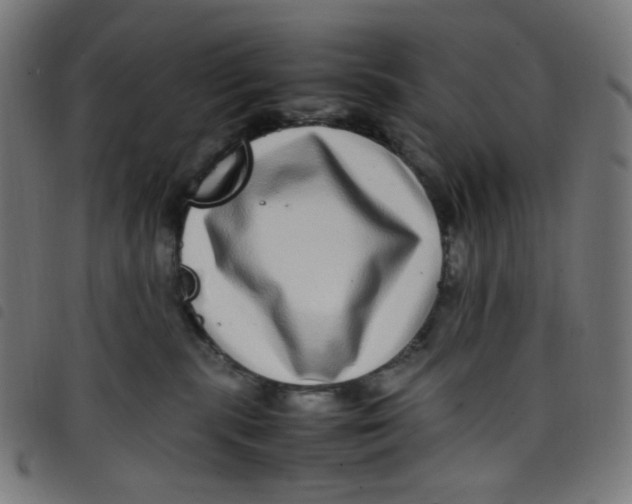 X0000098120283200804251459