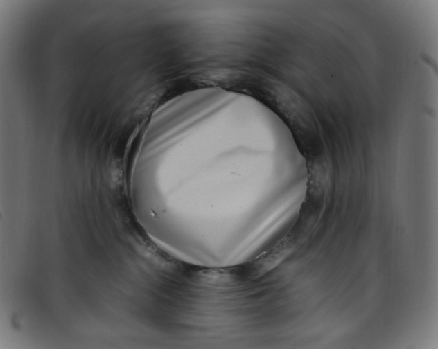 X0000098120284200804251459
