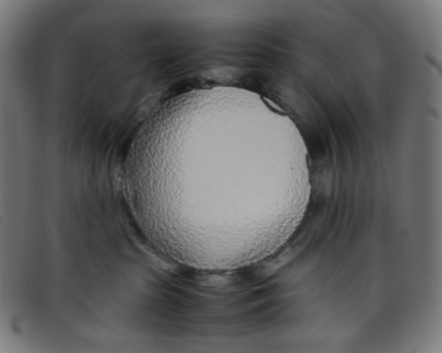 X0000098120285200804251459