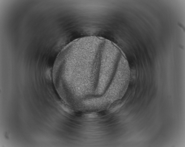 X0000098120286200804251459