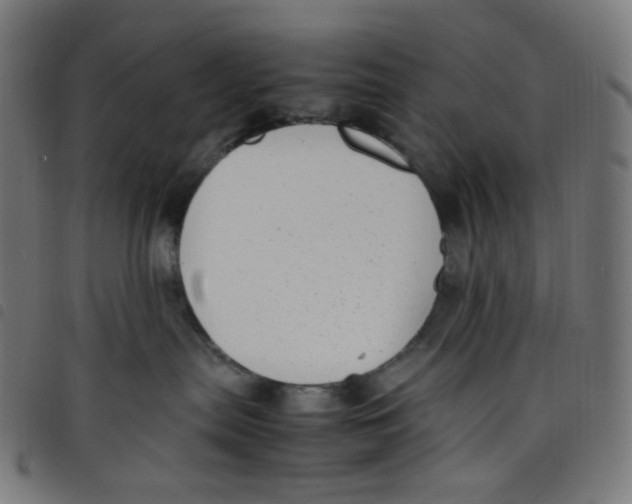 X0000098120287200804251459