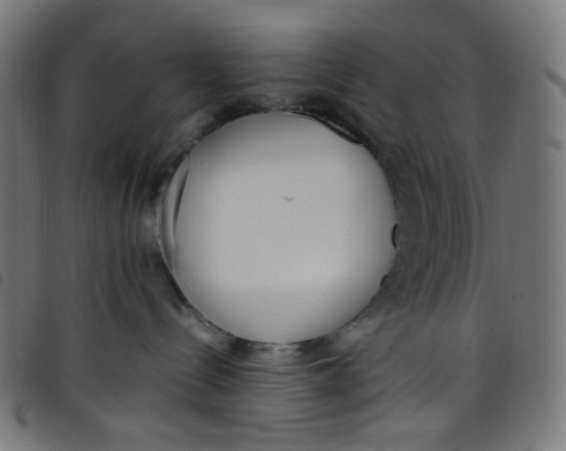 X0000098120288200804251459