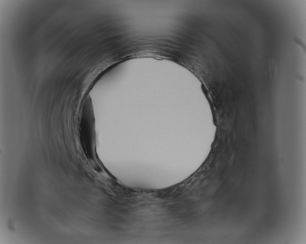 X0000098120289200804251458