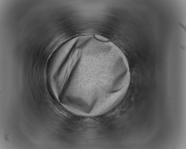 X0000098120290200804251458
