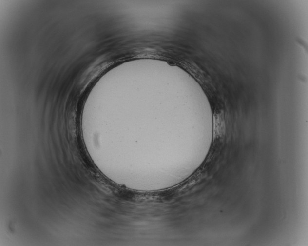 X0000098120291200804251458