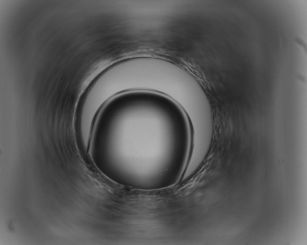 X0000098120292200804251458