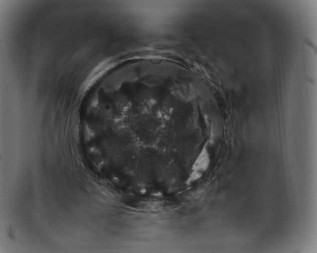 X0000098120295200804251458