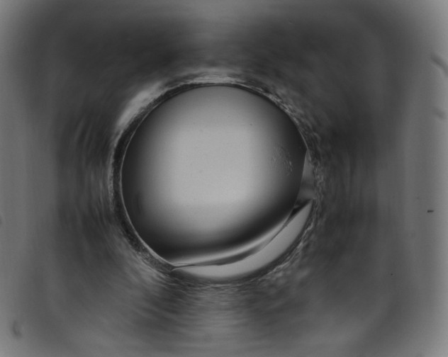 X0000098120296200804251458