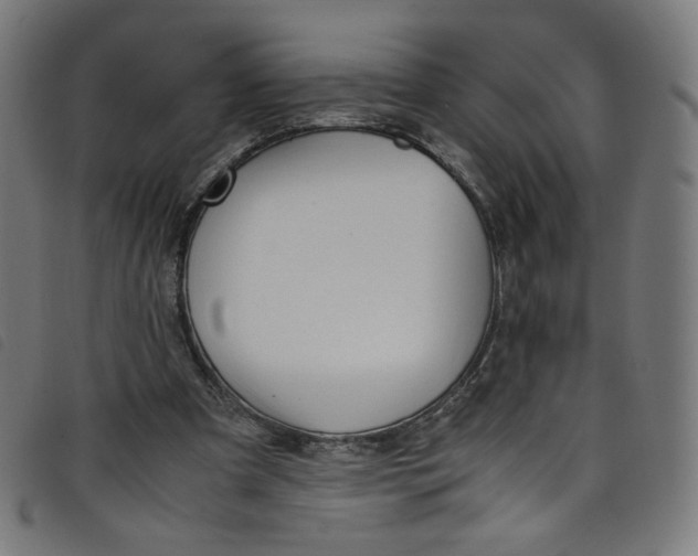 X0000098120297200804251458