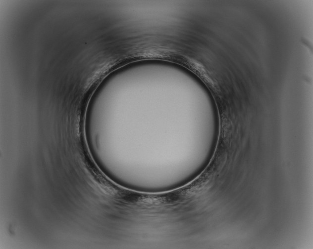 X0000098120299200804251458