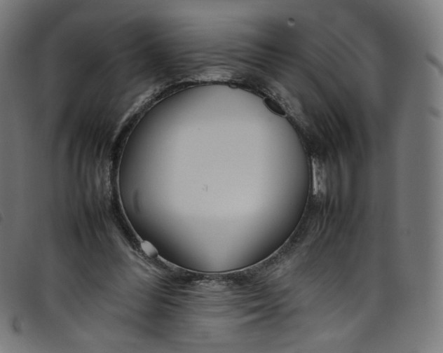 X0000098120300200804251458